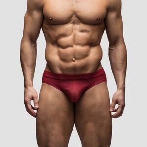 Todd Sanfield Collection Dark Brick Briefs NWT
